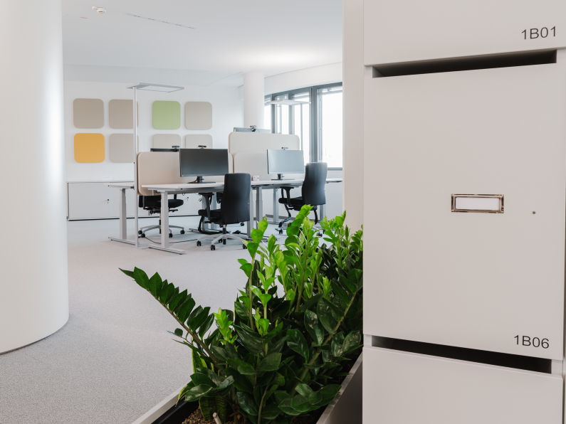 Moderner Büroarbeitsplatz mit ergonomischen Stühlen, Sichtschutzpaneelen und natürlicher Bepflanzung
