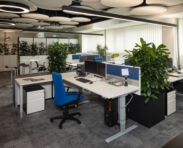 Modernes Open-Space-Office mit ergonomischen Schreibtischen, Pflanzen und akustisch optimierter Decke