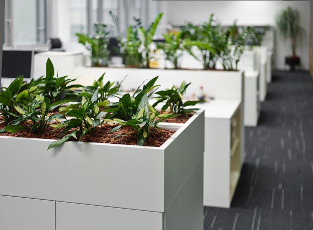 Weiße Pflanzentrenner mit integrierten Pflanzen in einem modernen Büro
