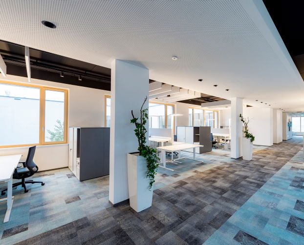 Großraumbüro mit Pflanzen, Schreibtischen und Stauraumlösungen bei Raiffeisen Salzburg