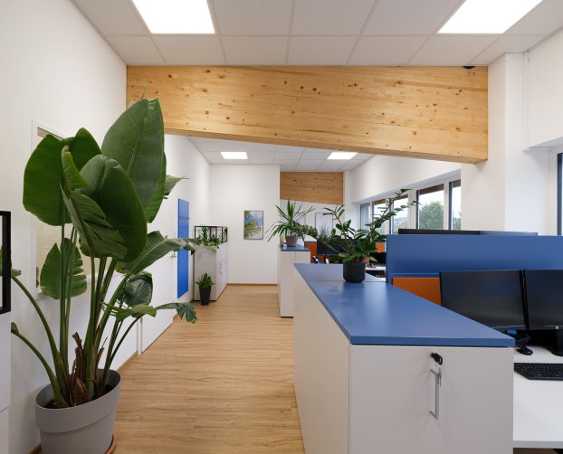 Büroflur mit Holzträger an der Decke, weißen Stauraummöbeln mit blauen Abdeckplatten und großen Pflanzen entlang des Wegs