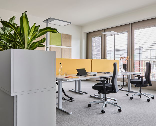 Open Office bei STRABAG Hamburg mit Evergreen Pflanzenwanne, höhenverstellbaren Tischen und Akustiksichtschutz