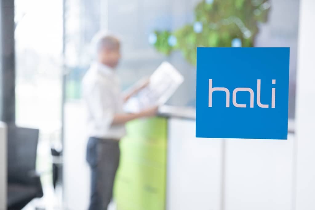 hali Logo auf einer Glasscheibe